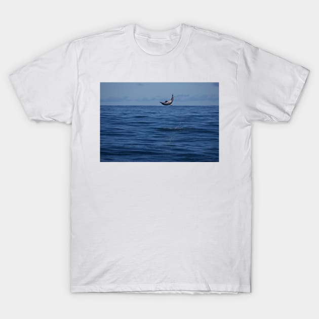 Hawaii09 125 T-Shirt by wgcosby